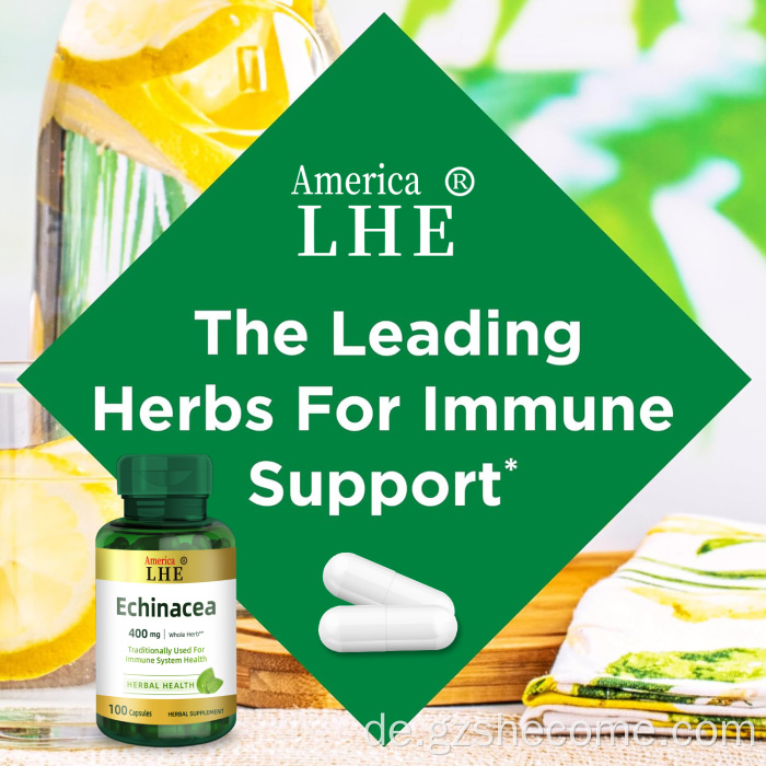 Echinacea -Supplement für die Gesundheit des Immunsystems